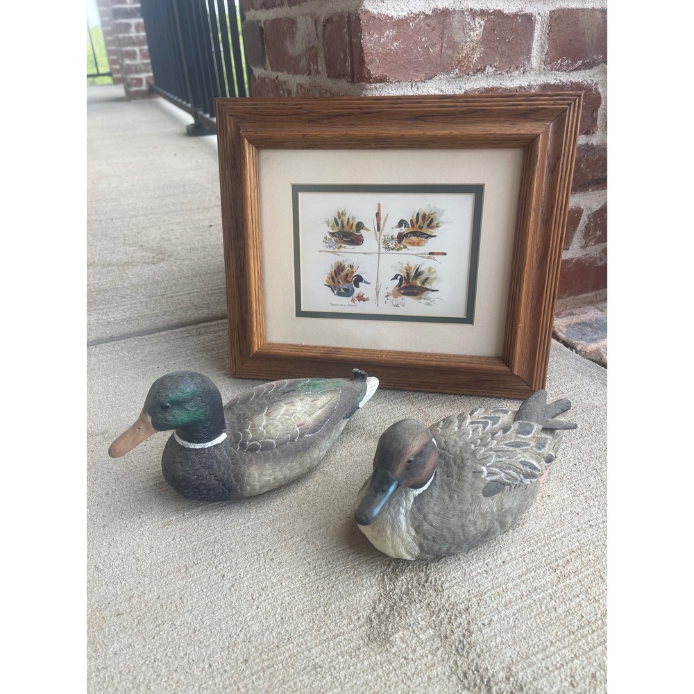 Vintage Duck Decoy Set and Framed R. Kaniak Decoys for All Seasons Art Print